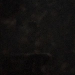 Meet your Posher, Apryl